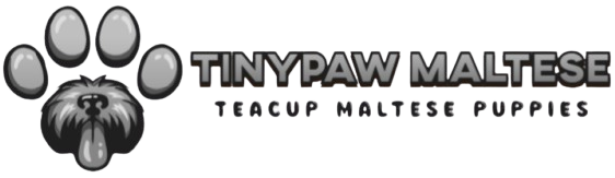 TinyPaw Maltese